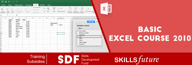 Basic Excel 2010 Training Singapore