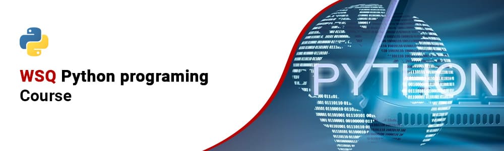 Python Programming Course in Singapore